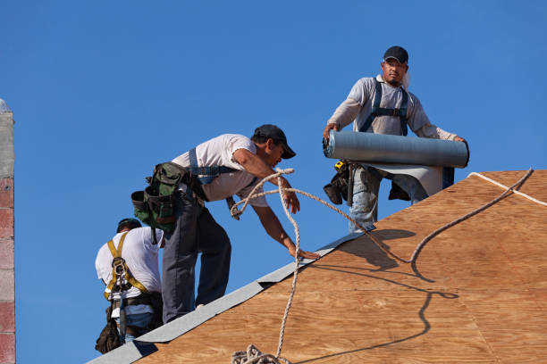 Best Gutter Installation and Roofing  in Quitman, MS