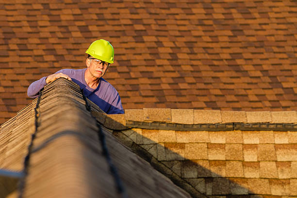Best New Roof Installation  in Quitman, MS